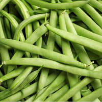 Missouri Wonder Pole Bean vegetable seeds for kitchen gardens and containers.
