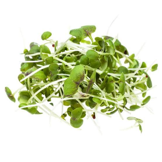Fresh Mustard Cress Mixed plants growing in a raised garden bed.