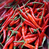 Non GMO Brazilian maroon chili pepper seeds