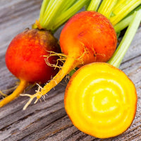 Non GMO dark orange radish seeds for gardeners