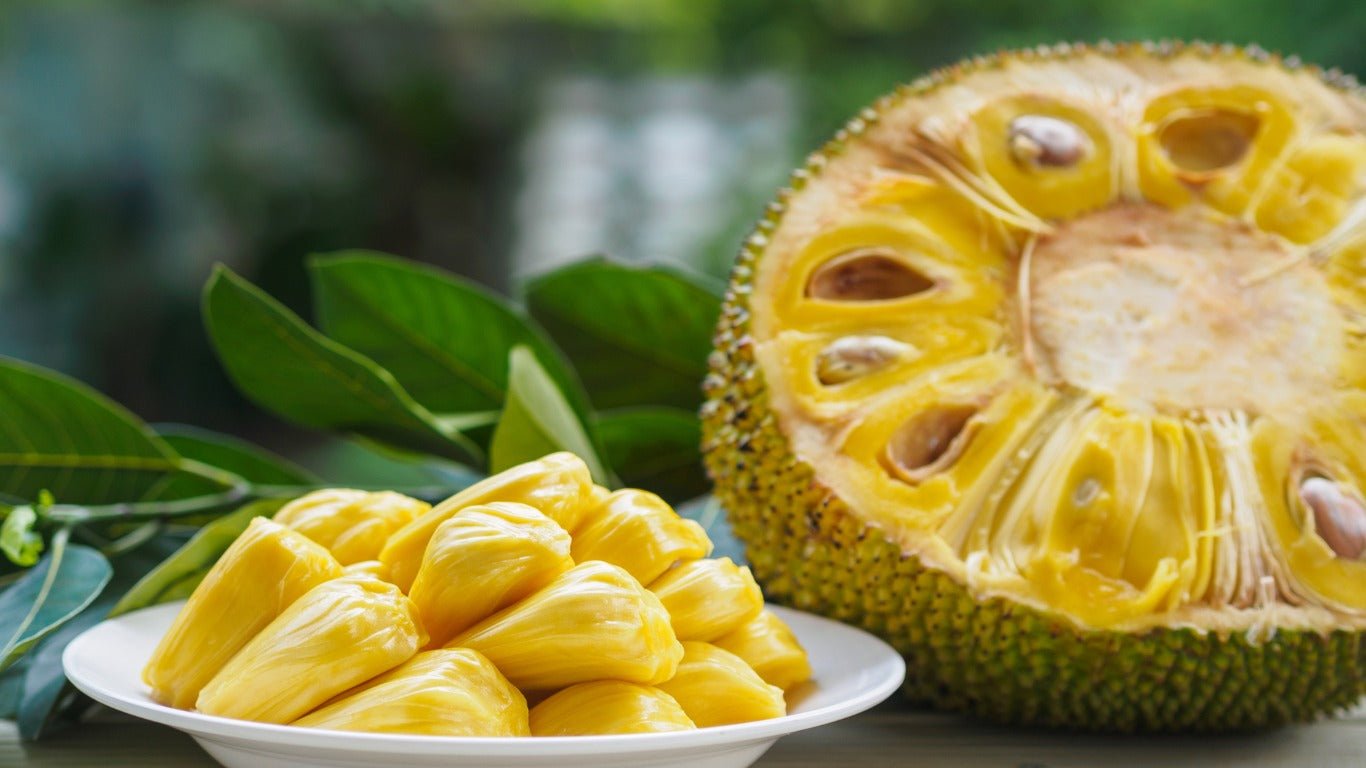 Non-GMO jackfruit seeds for easy planting