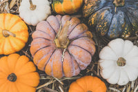Non GMO multi colored pumpkin seeds