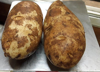 Norkotah Potato Plants Growing in Home Garden