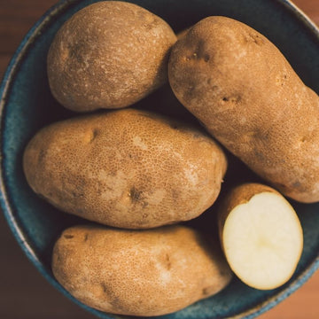 Norkotah Potato Seeds for Planting