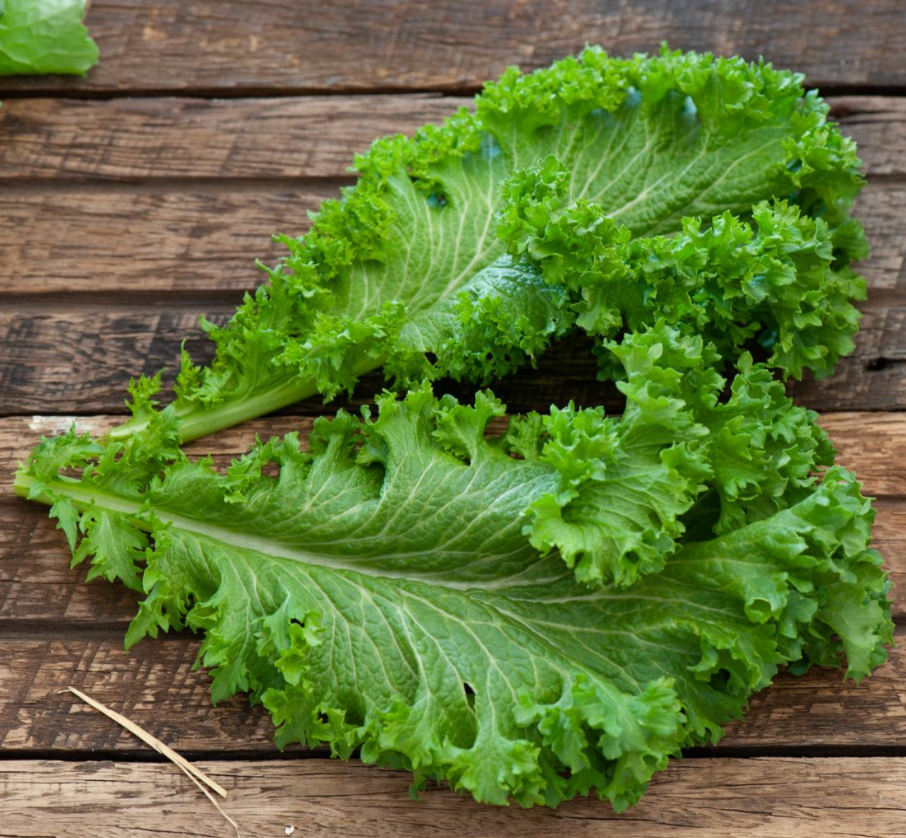 Old Fashioned Mustard Green seeds for home garden planting