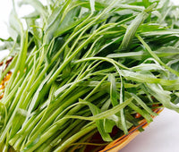 Ong Choy seeds for home vegetable garden planting