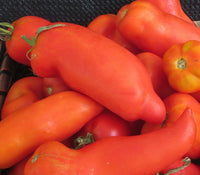 Opalka Tomato Seeds for Planting – Heirloom Non-GMO Polish Paste Tomato Vegetable Seeds