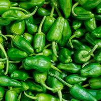 Padron Pepper Vegetable Seeds for Planting