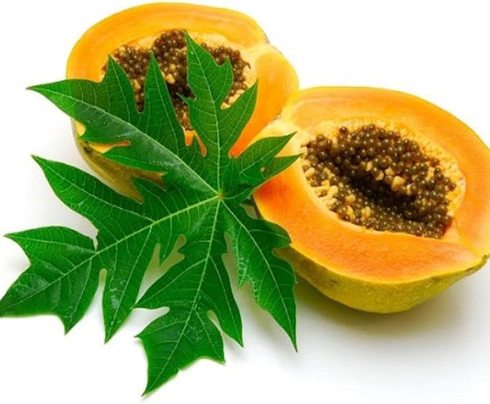 Papaya seeds for planting Carica papaya