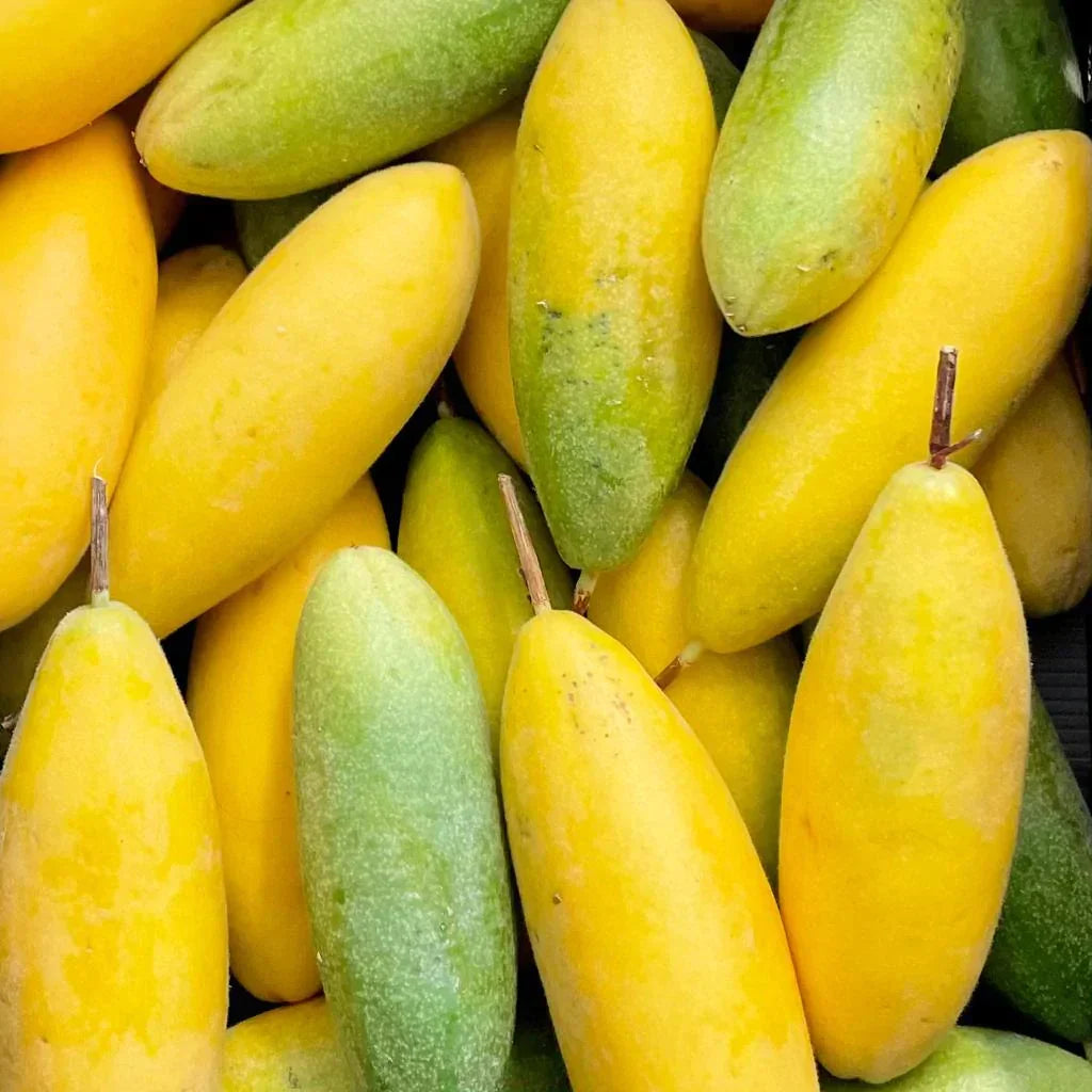 Banana Passion Fruit Seeds for Planting – Heirloom & Non-GMO Tropical Vine Seeds