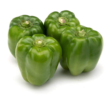 Pepper plants thriving in container garden