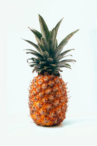 Pineapple seedlings growth and planting guide