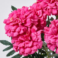 Pink Marigold Flower Seeds for Planting