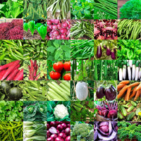Mixed Garden Seed Collection – 32 Heirloom & Non-GMO Seed Varieties for Planting