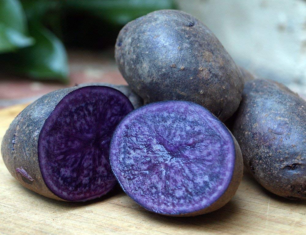Purple Majesty Potato Plants Growing in Home Garden