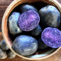 Purple Majesty Potato Seeds for Planting