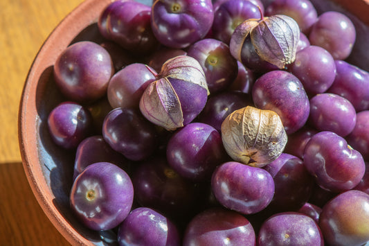 Purple Tomatillo (Physalis ixocarpa) seeds for planting