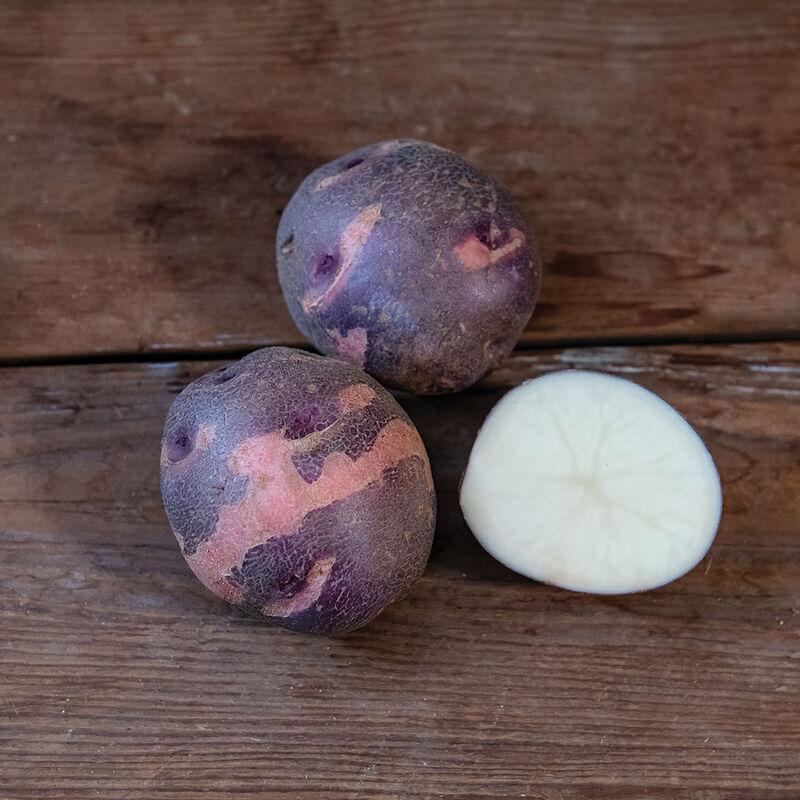 Purple Viking Potato Seeds for Planting