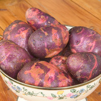 Fresh Purple Viking Potatoes with Purple and White Skin