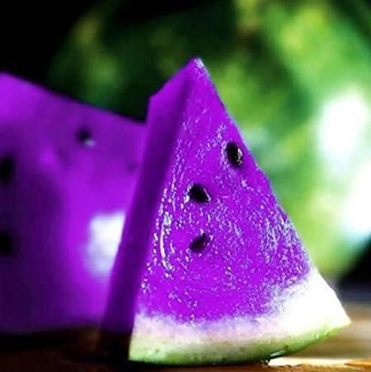 Purple Watermelon seeds for planting in home gardens and raised beds.