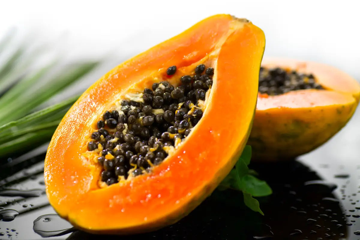 Pusa Dwarf Papaya seeds for planting in home gardens and containers.