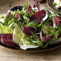 Radicchio and endive lettuce mix seeds for garden planting