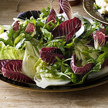 Radicchio and endive lettuce mix seeds for garden planting