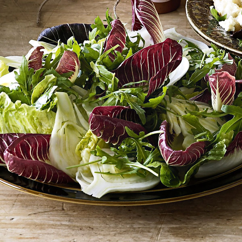 Radicchio and endive lettuce mix seeds for garden planting