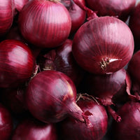 Red Creole onion seeds for home vegetable garden planting