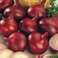 Red Creole onion seeds for home vegetable garden planting