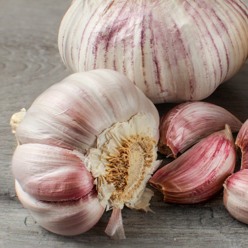 Red Garlic Bulbs for Planting