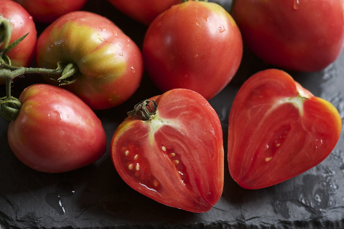 Red Heart Tomato Seeds plant growth showing vigorous vines