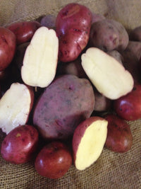 Red Lasoda Vegetable Seeds for Planting