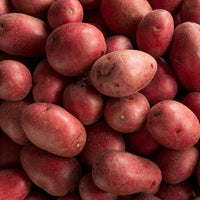 Red Potato Seeds for Planting and Gardening