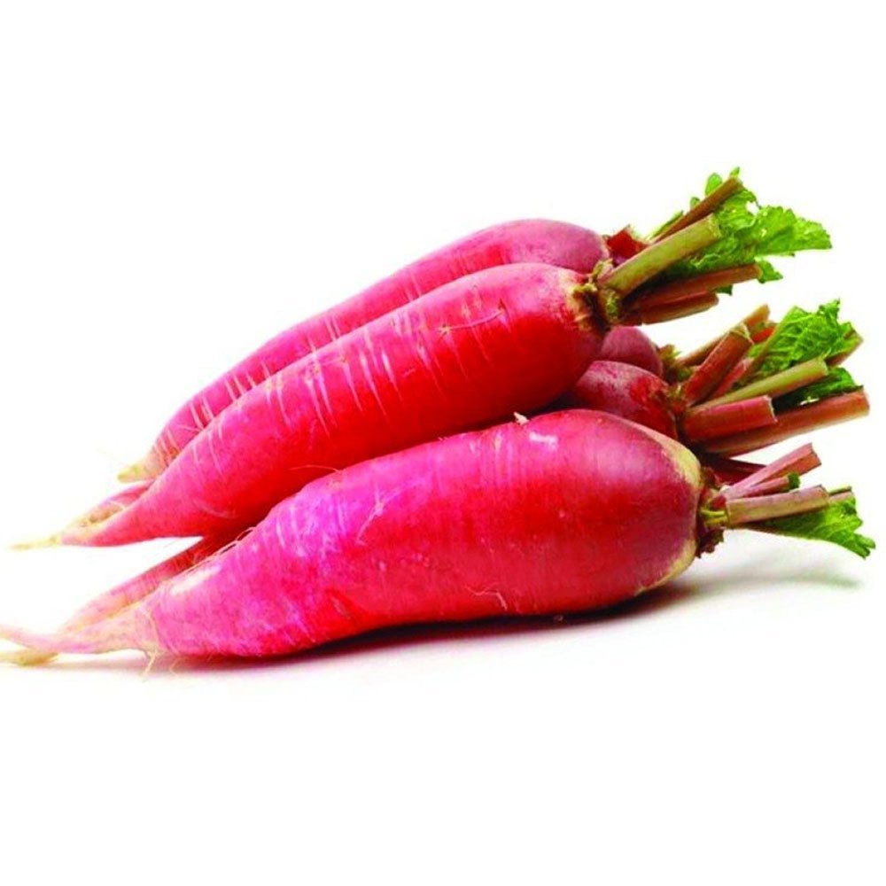Healthy Red Radish plants growing in full sun