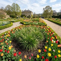 A formal garden with curved flower beds filled with tulips in red, yellow, orange, and white, leading toward a large stone mansion in the background under a blue sky.