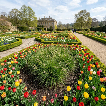 A formal garden with curved flower beds filled with tulips in red, yellow, orange, and white, leading toward a large stone mansion in the background under a blue sky.