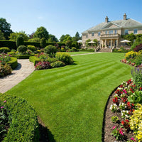 Grass Seed – Highest Quality Ornamental Lawn Seeds