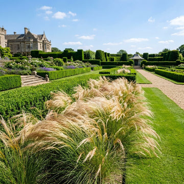 A scenic view of a formal garden with tall ornamental grasses in the foreground, neatly trimmed hedges, a gravel path, a stone gazebo, and a large historic mansion under a blue sky with light clouds.