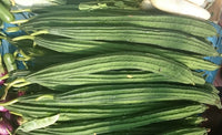 Ridge gourd seeds suitable for home gardening