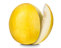Ripe yellow melons ready for harvest