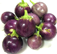 Round Purple Dwarf Eggplant Growing in Home Garden