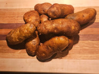 Russet Potato Plants Growing in Home Garden