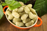 Russian mulberry seeds showing glossy green heart-shaped leaves