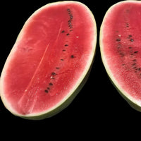 Whole Sangria hybrid watermelon