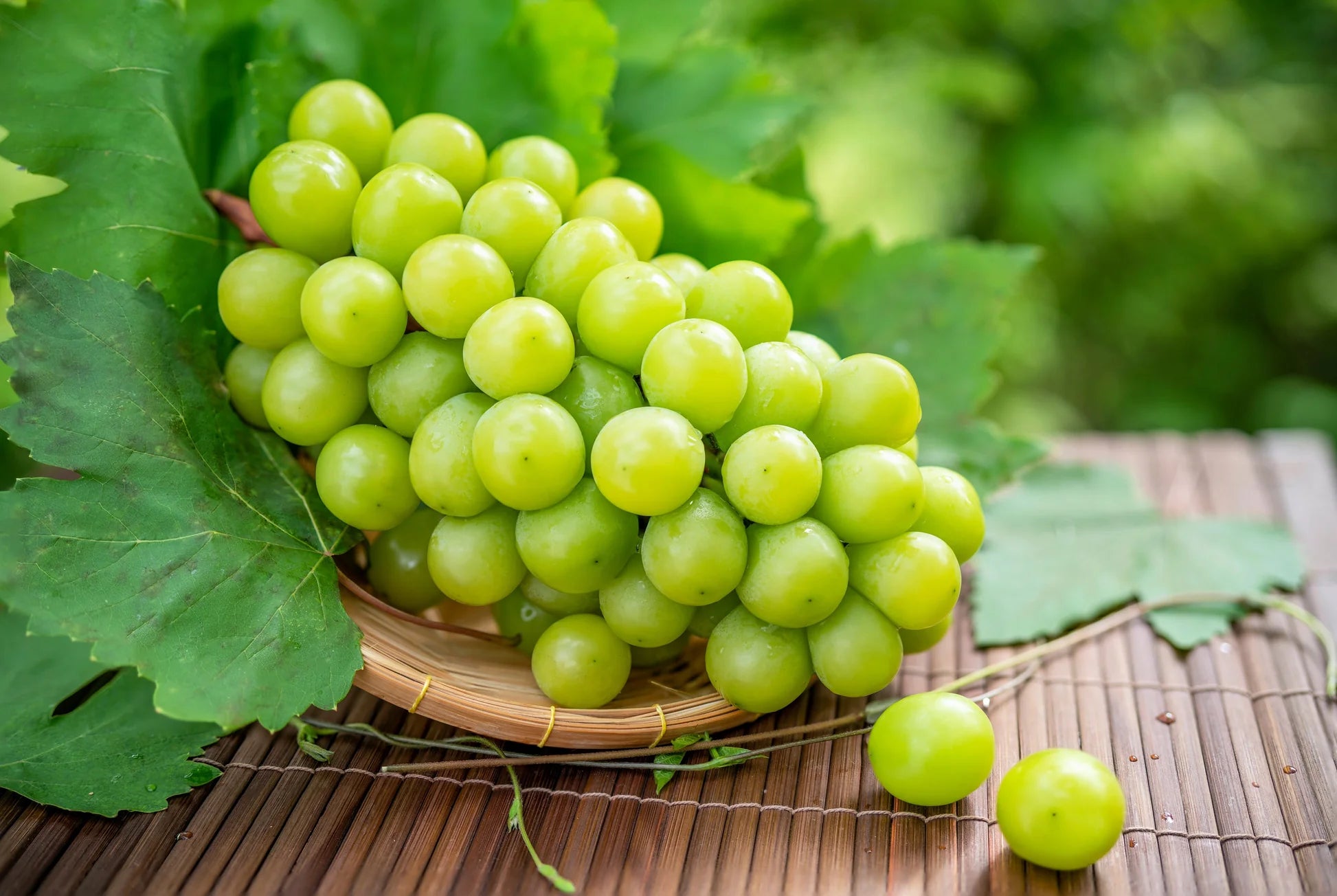 Green Dessert/Table Grape (Vitis vinifera) Fruit Vine Seeds