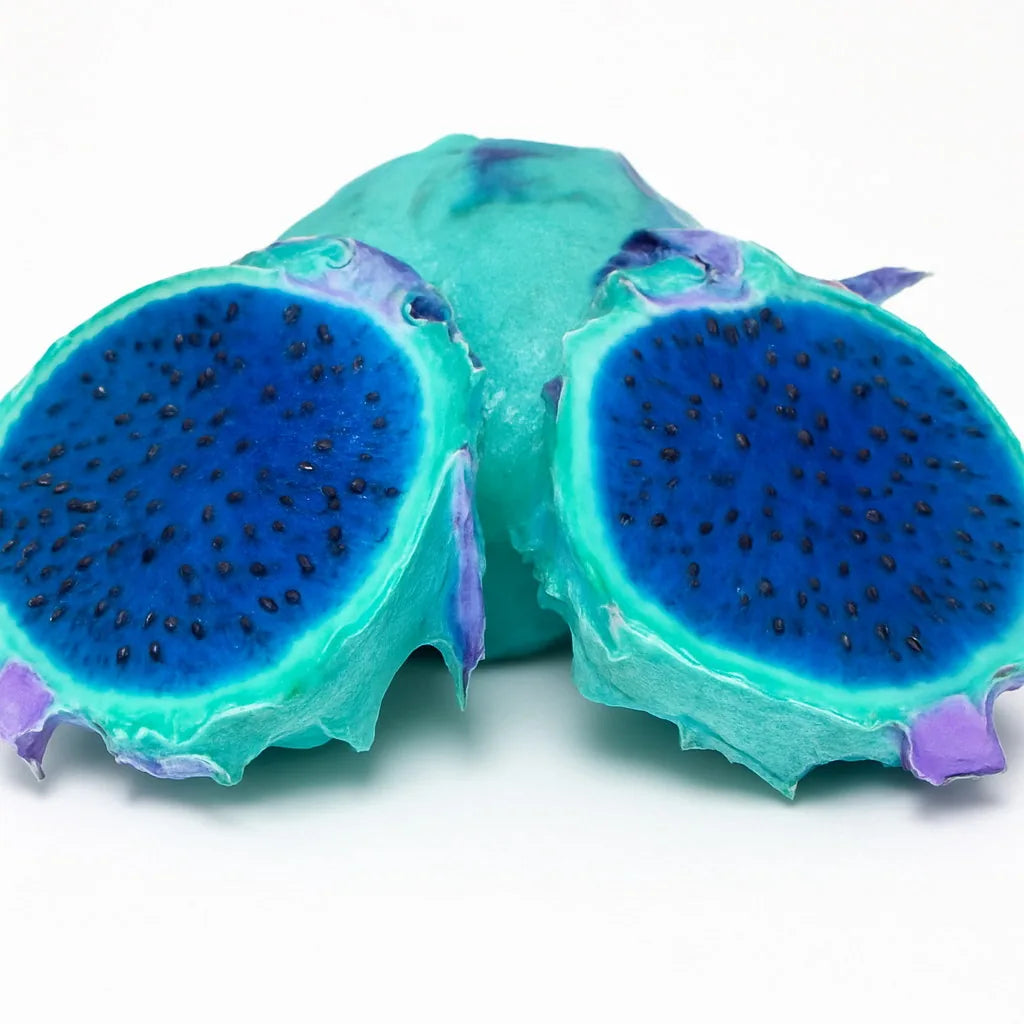 Sky Blue Pitaya fruit seeds for planting in home gardens and containers.