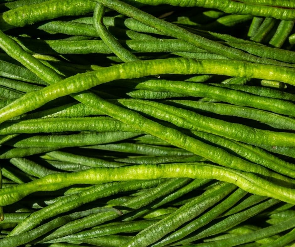 Snake Oriental Yard Long Bean Seeds for Planting – Heirloom Non-GMO Green Noodle Vegetable Seeds