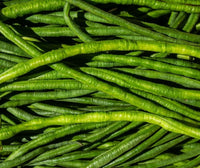 Snake Oriental Yard Long Bean Seeds for Planting – Heirloom Non-GMO Green Noodle Vegetable Seeds