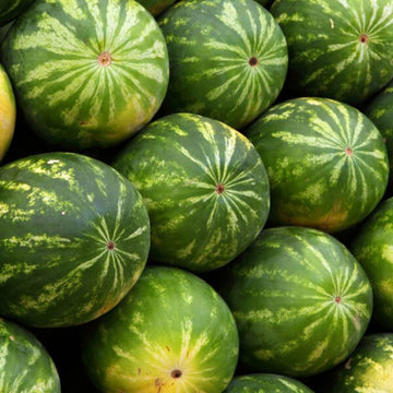 High-Quality Watermelon Seeds for Fruit Planting
